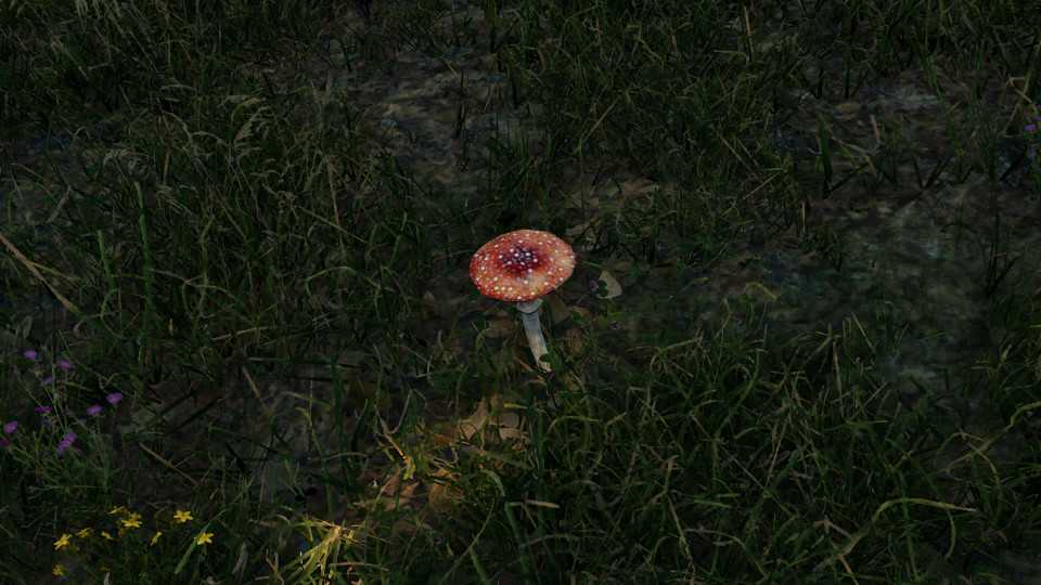 Amanita Muscaria Node