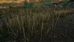 Node On Rye Category - Category:Resource Node